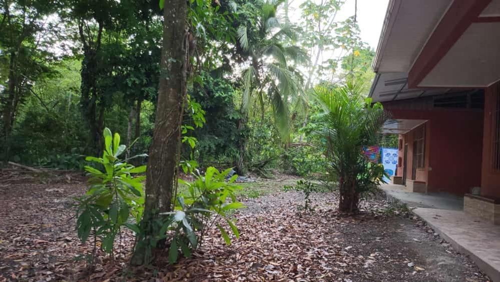 Hostel Manuel Antonio Park Jungle Exteriör bild